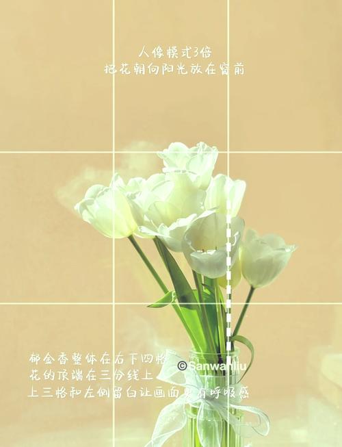 怎么用苹果手机拍摄虚化背景苹果手机拍照景色技巧教程