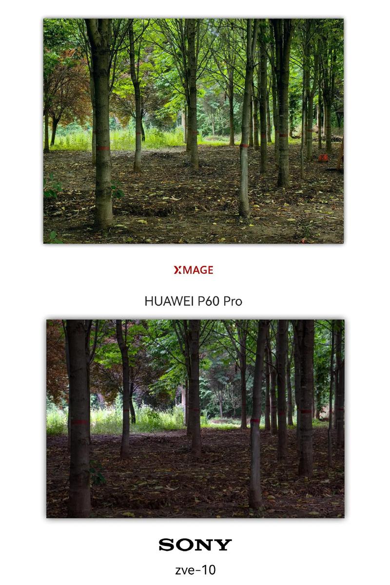 翻拍照片用扫描仪好还是用相机好图2