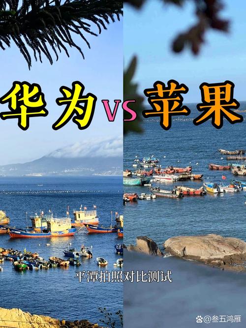 各种手机原相机拍照效果对比图图2