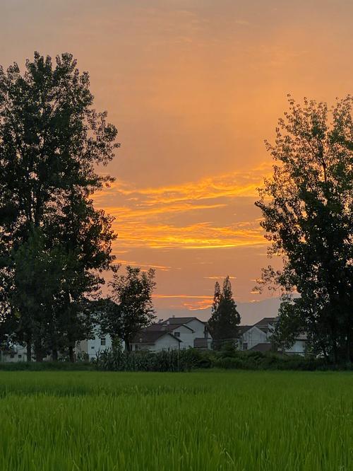 各种手机原相机拍照效果对比图图3