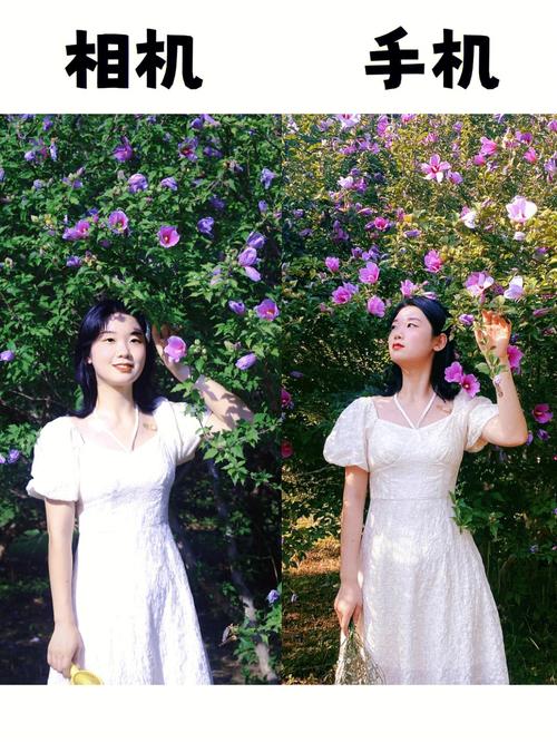 数码相机和手机拍照,哪个效果好一点