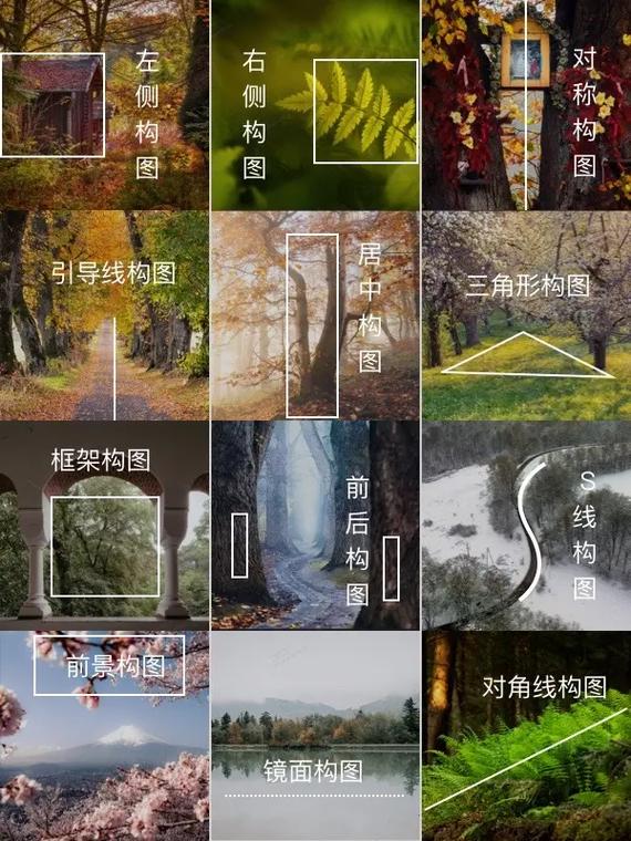 摄影十种构图是什么图3