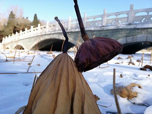 拍照角度和技巧视频教程图1