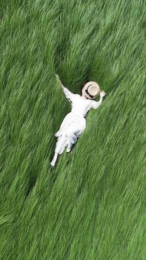 拍照的构图方法有哪些图1