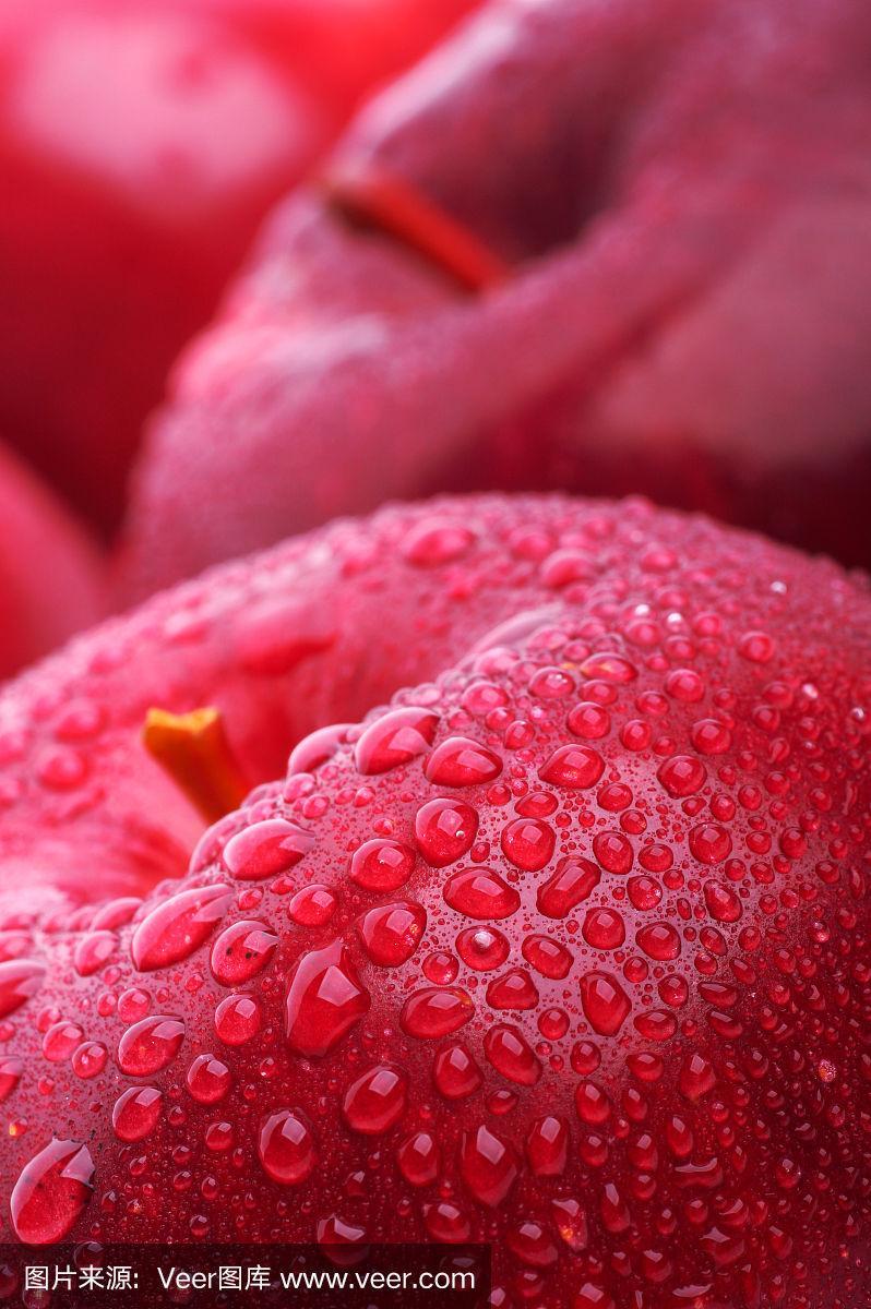 iPhone手机微距拍摄技巧