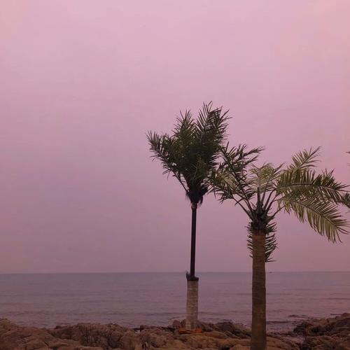 宝宝拍照背景图片素材图2