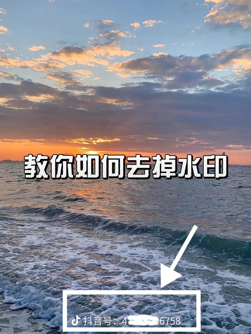 今日水印相机拍照不在相册里怎么办呢图3