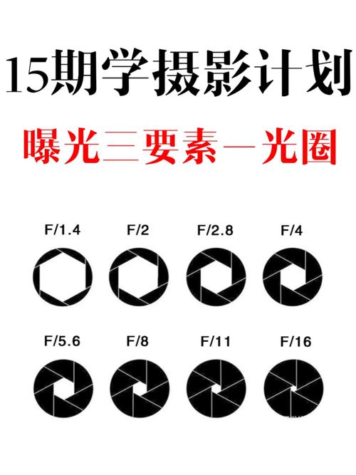佳能相机怎么调拍照好看图1