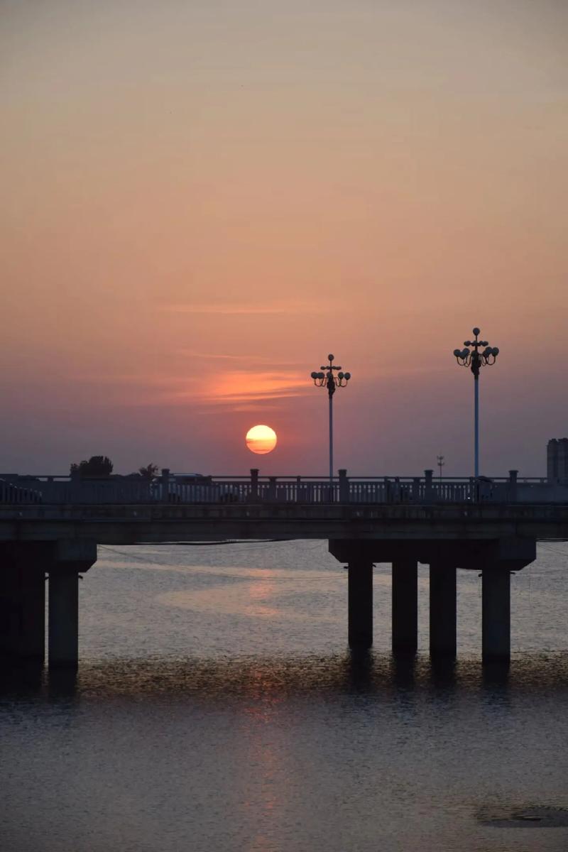 你们用过最美的手机壁纸是什么