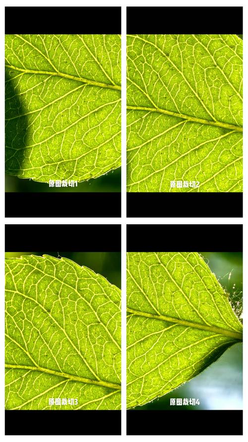 什么手机拍照像素最好看最清晰