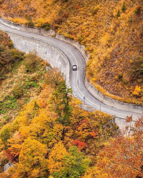 用手机拍摄风景技巧图1