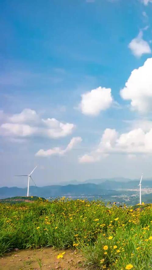 纯蓝色背景素材图片图2