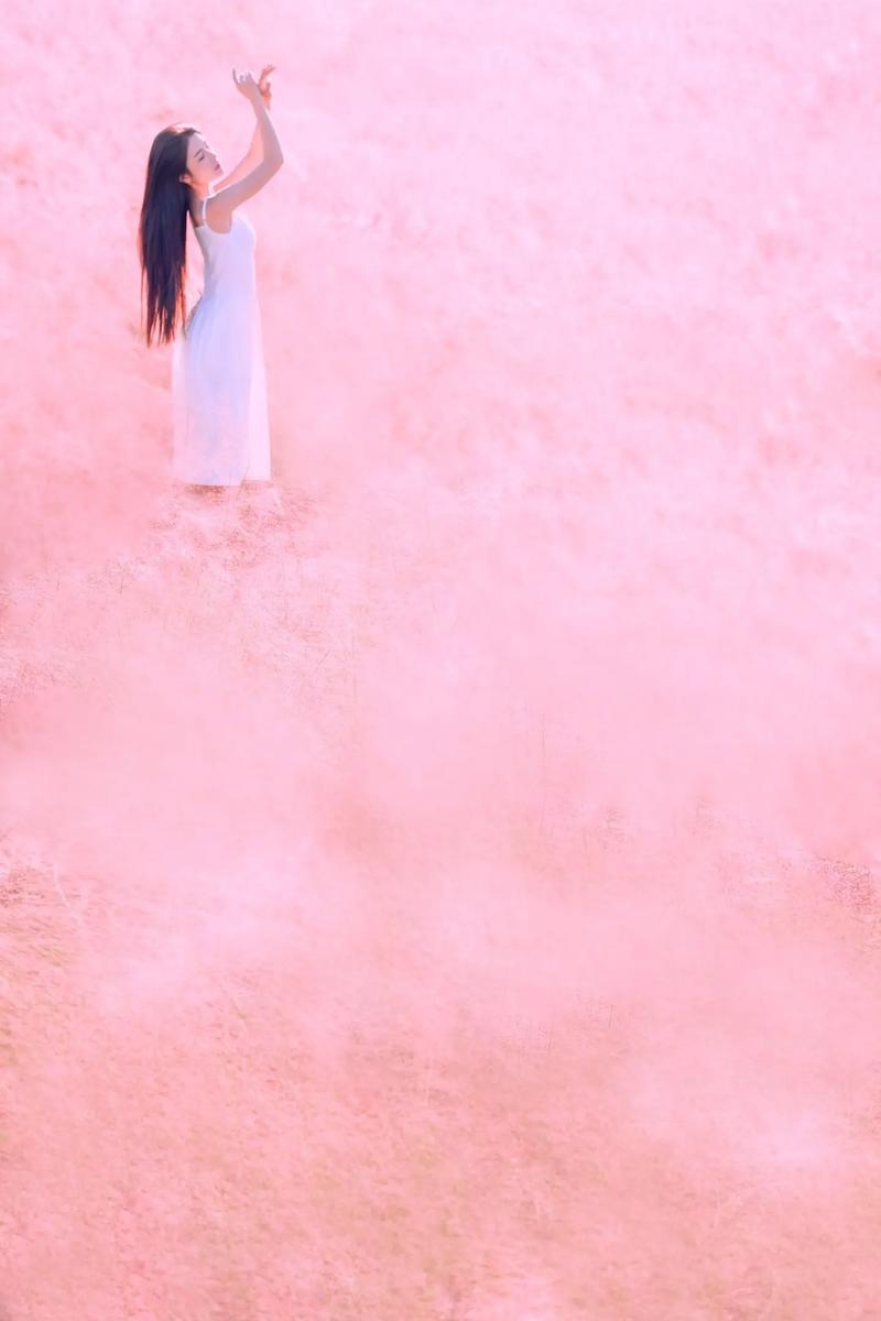 粉色背景照片有图案图2