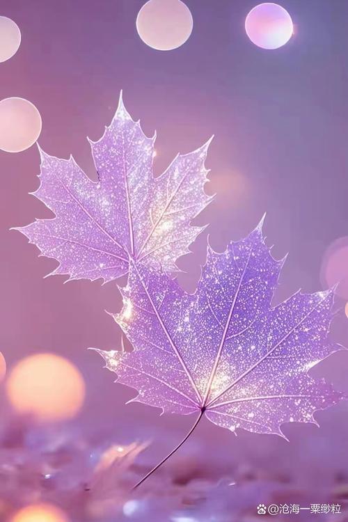 紫色拍照背景怎么设置图3