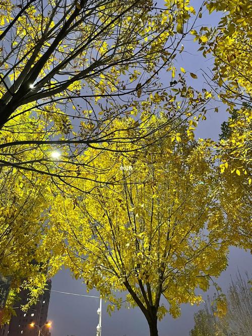 原相机软件推荐免费图3