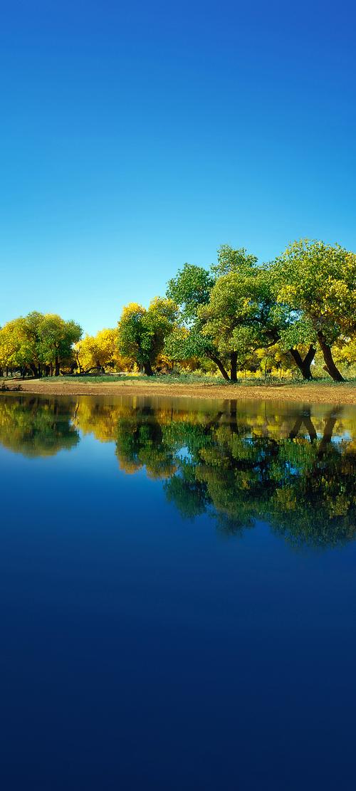 华为哪个手机拍照效果最好