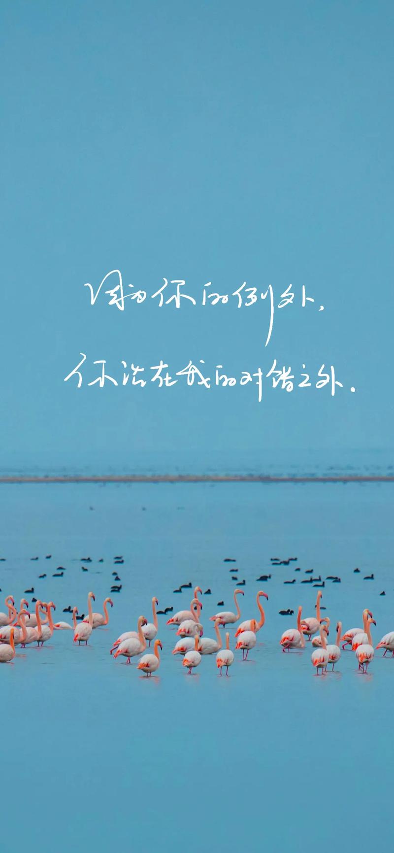 投影仪拍照背景图ins高级质感图片图2