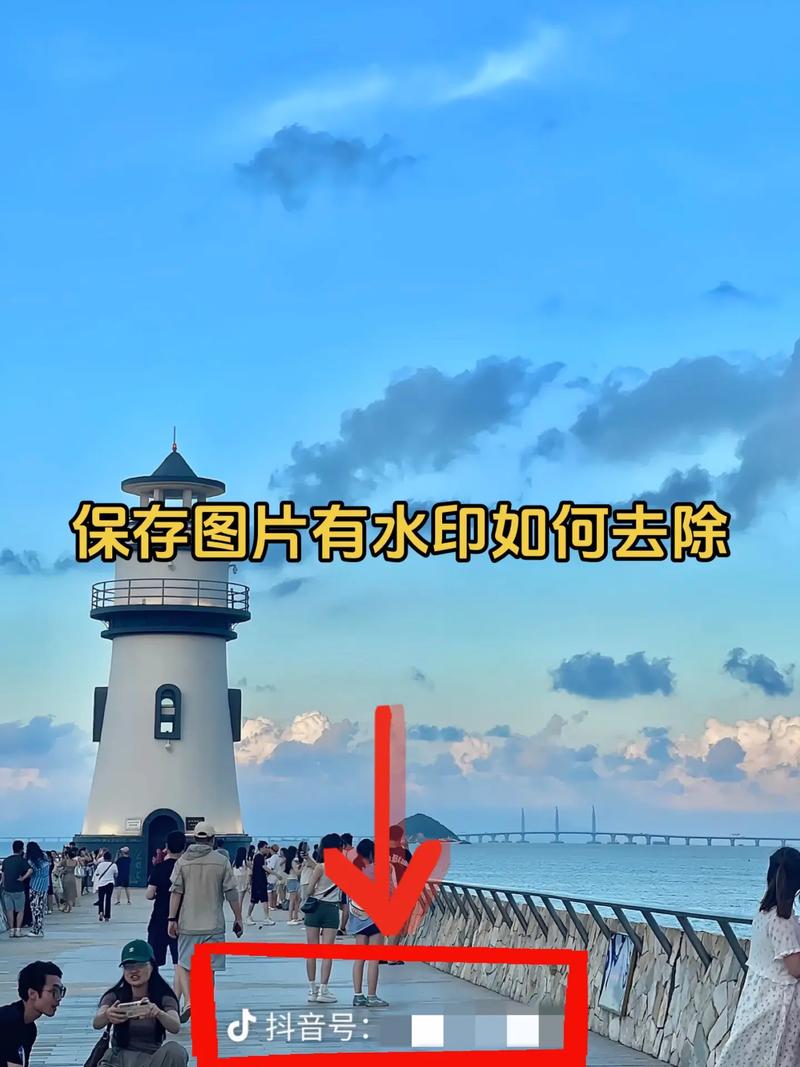 今日水印相机保存的照片去哪里找