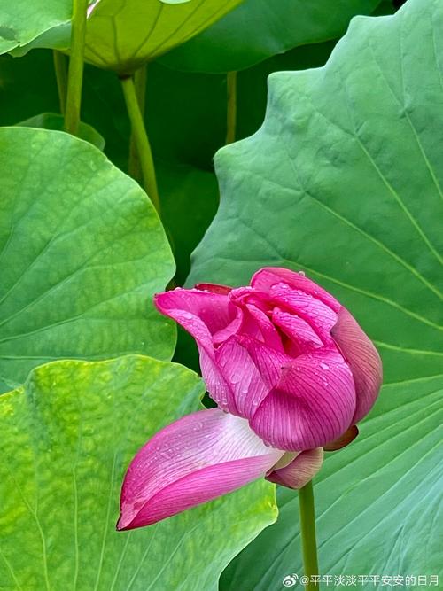 拍照比较好的手机推荐