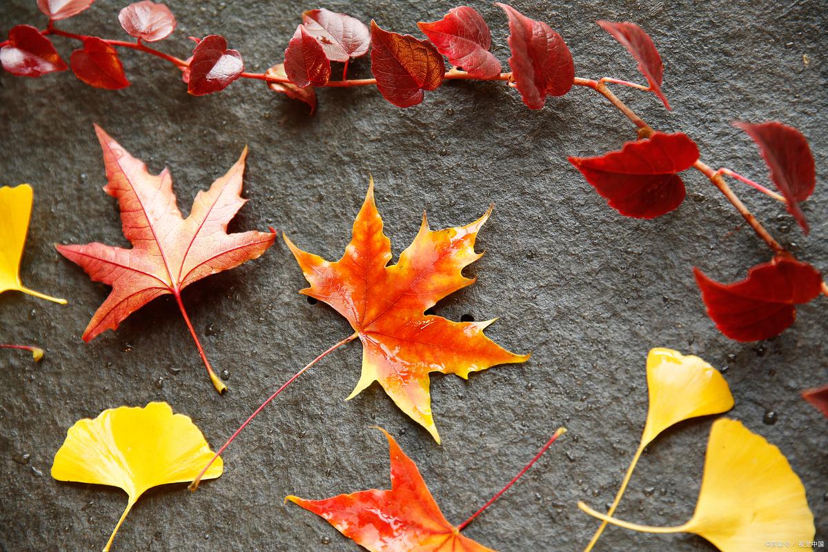 拍照背景图片古装素材图2