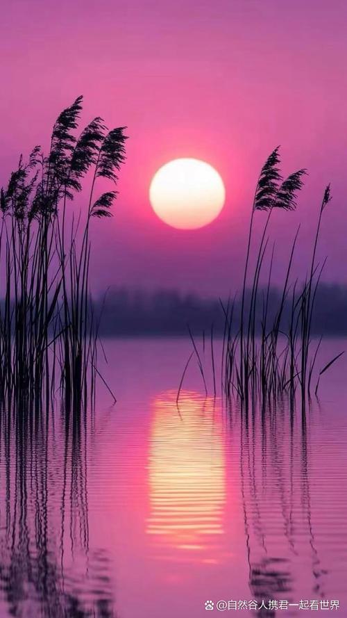 手机摄影拍照技巧风景怎么拍的图1