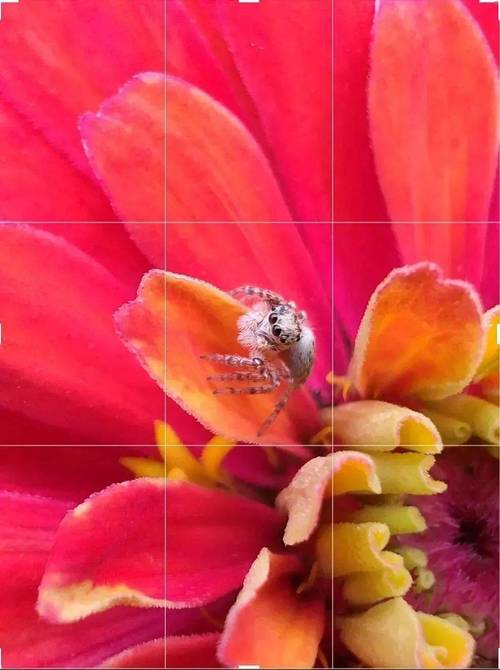 手机摄影拍照技巧风景怎么拍的图2