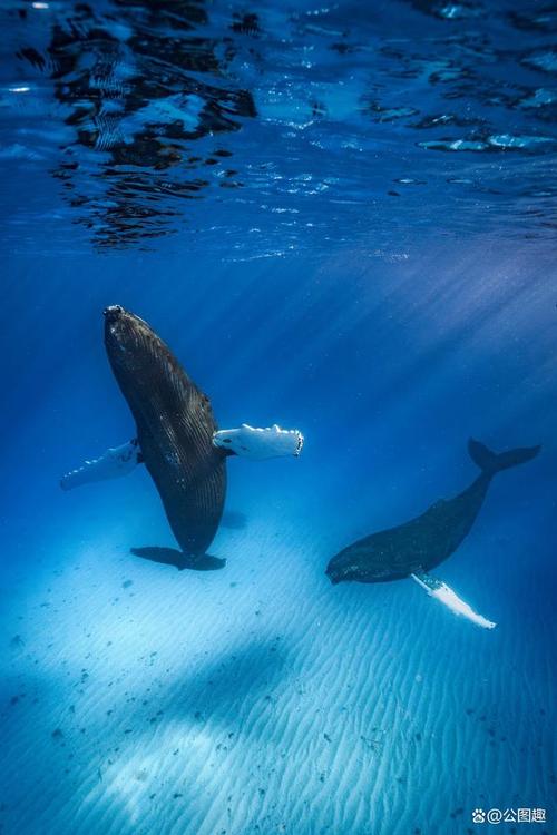 手机摄影拍照技巧风景怎么拍的图3