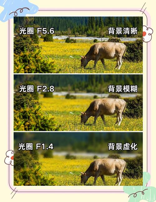 怎样设置相机拍照显示位置和时间信息图1