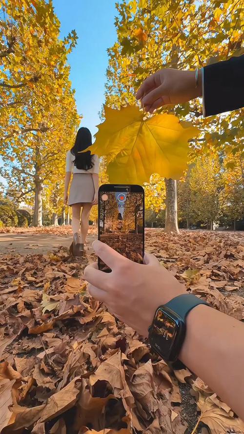 日常手机拍照技巧图3