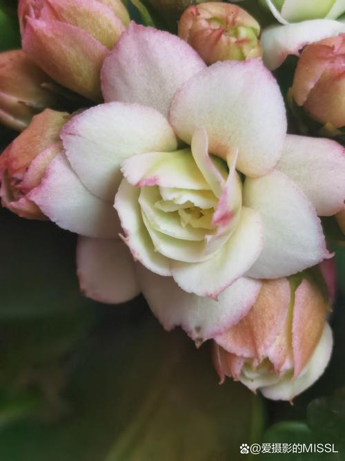 相机拍摄技巧图解大全图3