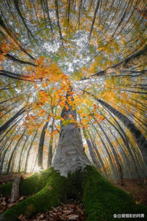 拍照哪个角度好图1