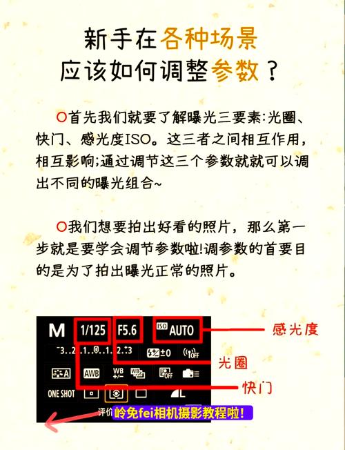 相机显示屏显示水平图3