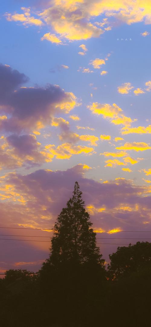 拍照背景图片大全女生图1