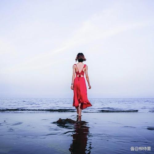 手机拍照怎么拍好看拍出高级感图1