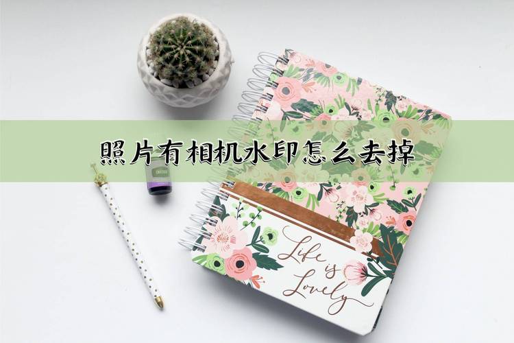 水印相机拍照保存不了照片图2