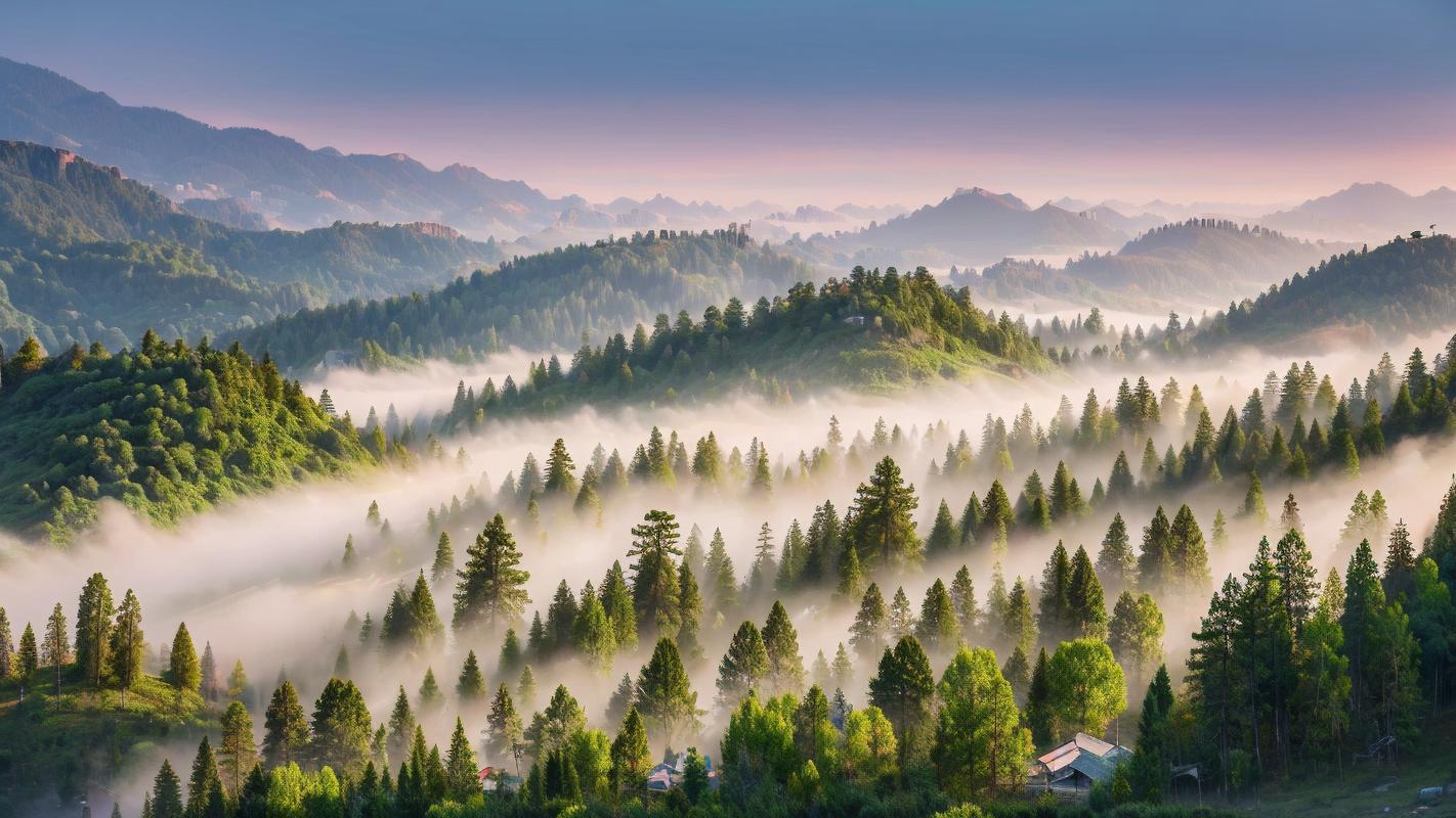 好看的拍照背景图高清图3