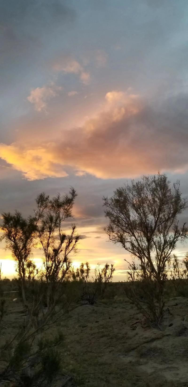 手机拍风景照怎么拍才好看图2