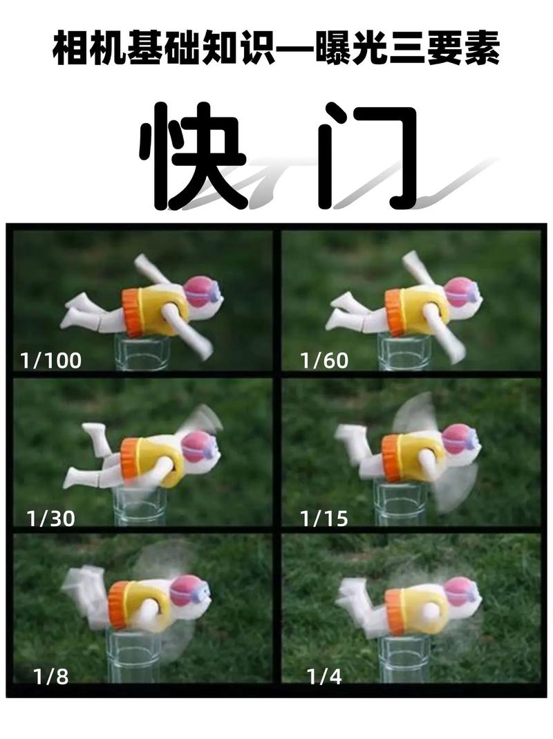 如何用相机拍照零基础图2