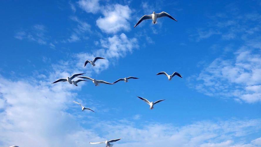 手机拍摄倒影照片软件图2