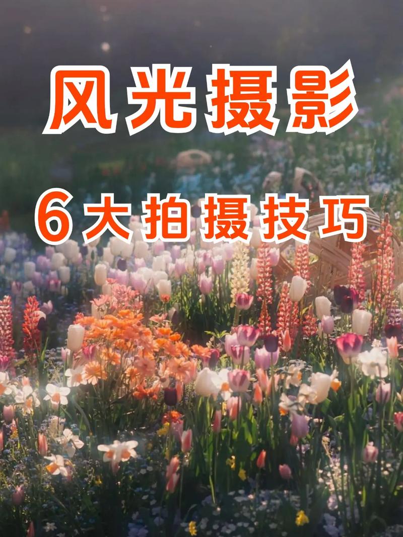 拍照技巧风景手机图1