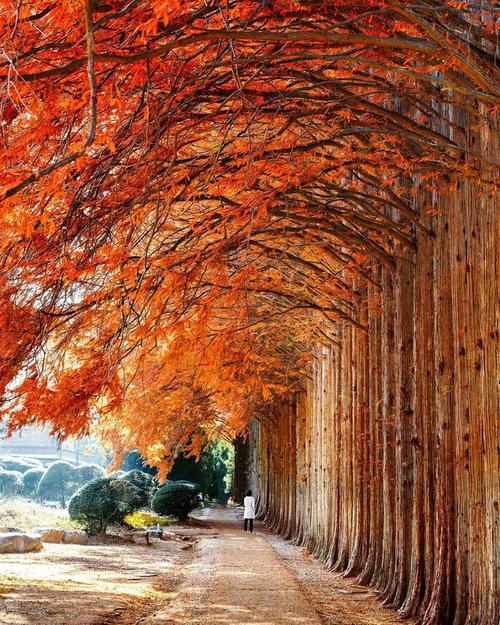 拍照技巧风景手机图2