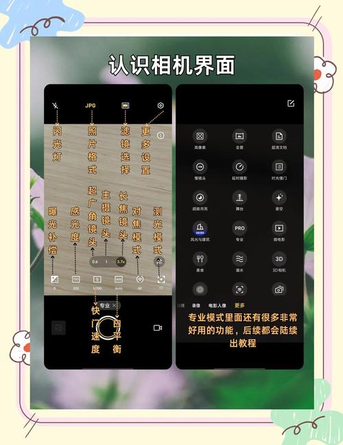 vivo手机的专业拍照模式怎么用?
