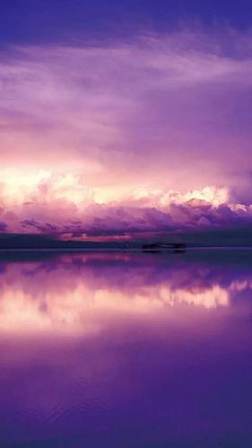 有哪些好看到爆的紫色系头像或者壁纸呢?