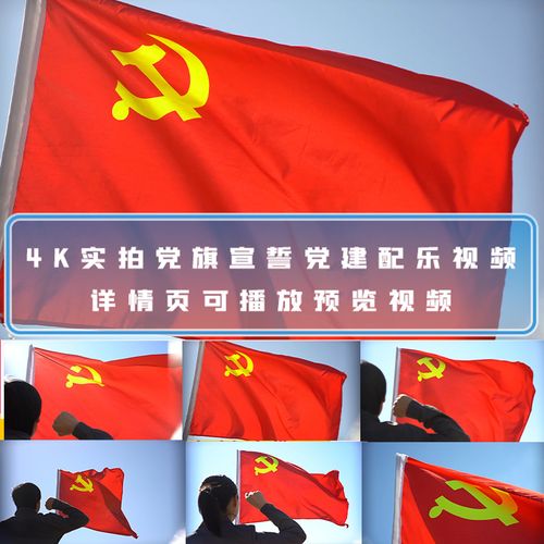 宣誓拍照角度要求多少图3