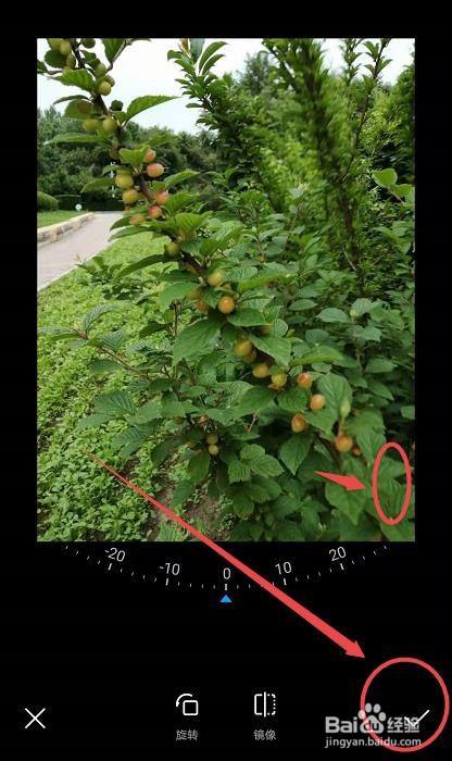 安卓手机镜像功能在哪