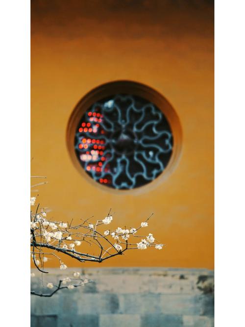 拍照能显示时间地点的相机软件图2