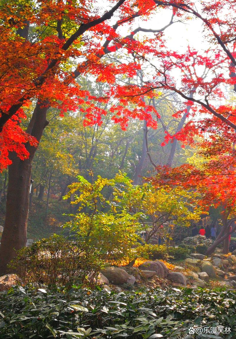 哪个手机拍照图1