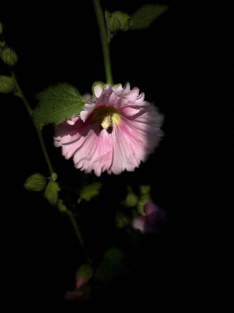 拍照背景图片真实高清图2