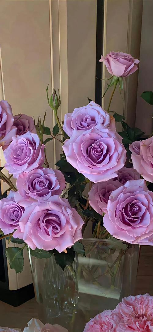 蓝紫色系背景图图2