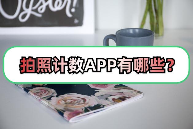 手机拍照数字数的软件图1